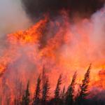 Picture of a raging crown fire